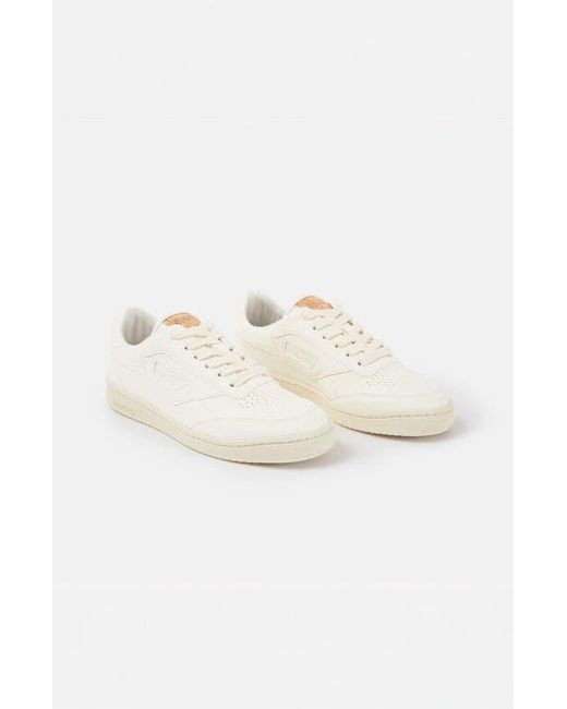 SAYE Natural M89 Icon