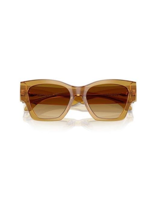 Versace Natural 53Mm Cat Eye Sunglasses