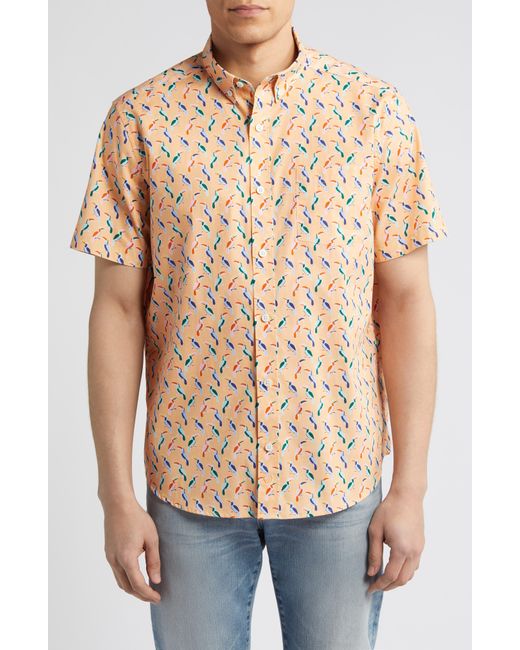 Johnston & Murphy Blue Toucan Print Short Sleeve Cotton Button-down Shirt for men