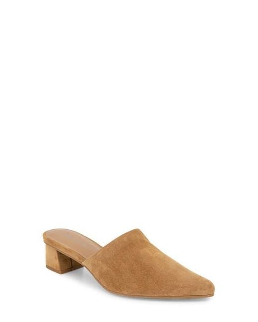 Splendid Brown Lyn Suede Mule Heel