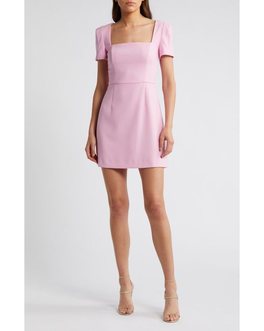 French Connection Pink Whisper Short Sleeve Sheath Dress