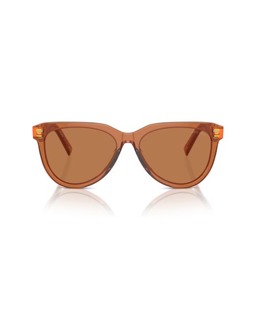 Miu Miu Brown 56mm Phantos Sunglasses