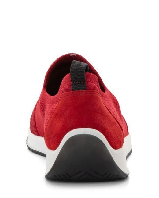 Ara Red Leena Sneaker