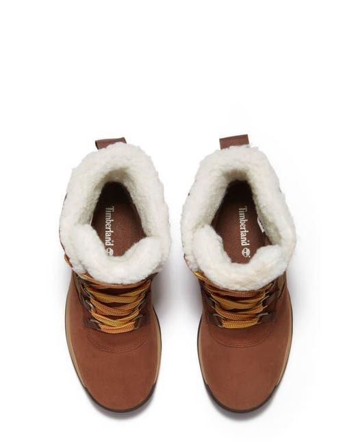 Timberland Brown Ledge Waterproof Snow Boot