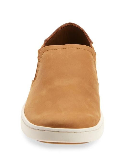Olukai Brown Pehuea Slip-On Sneaker