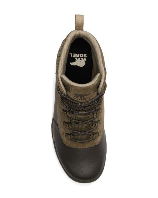 Sorel Brown Buxton Lite Plus Waterproof Boot for men