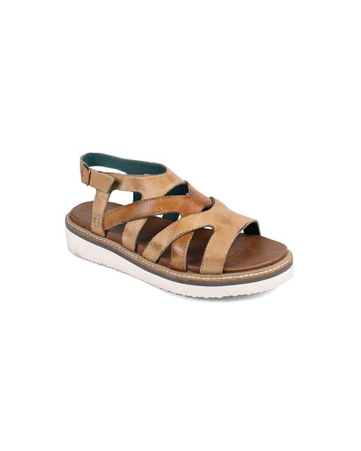Roan Multicolor Centrist Sandal