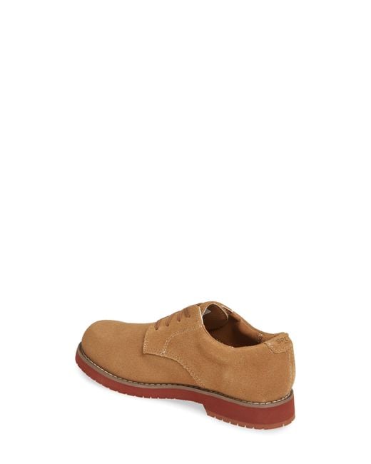 Sperry tevin hotsell oxford