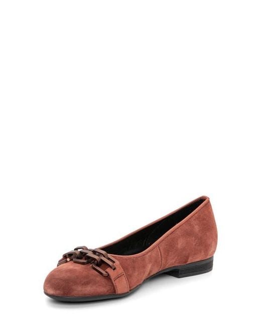 Ara Brown Scout Chain Ballet Flat