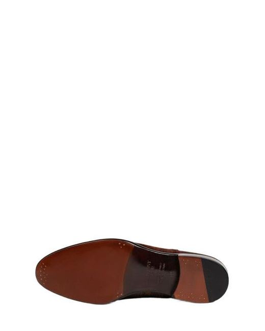Anthony Veer Brown Windsor Brogue for men