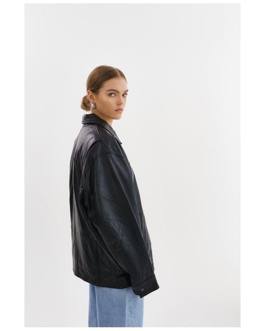 Lamarque Black Theia