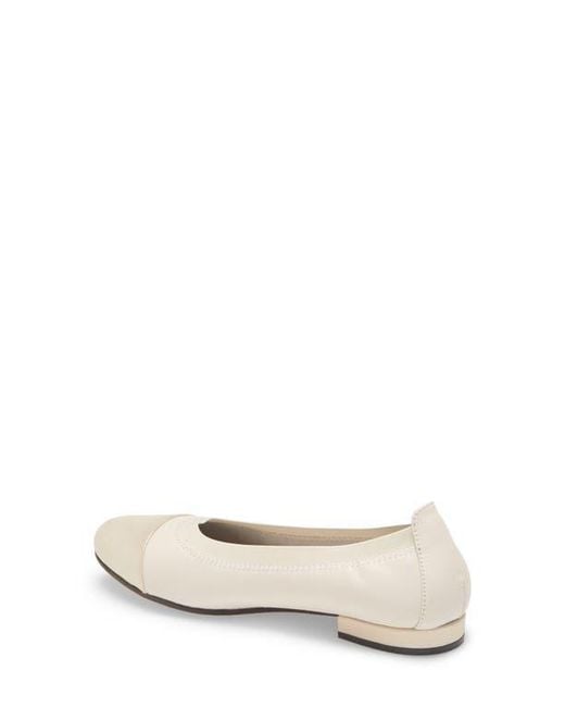 David Tate Natural Nicole Cap Toe Flat