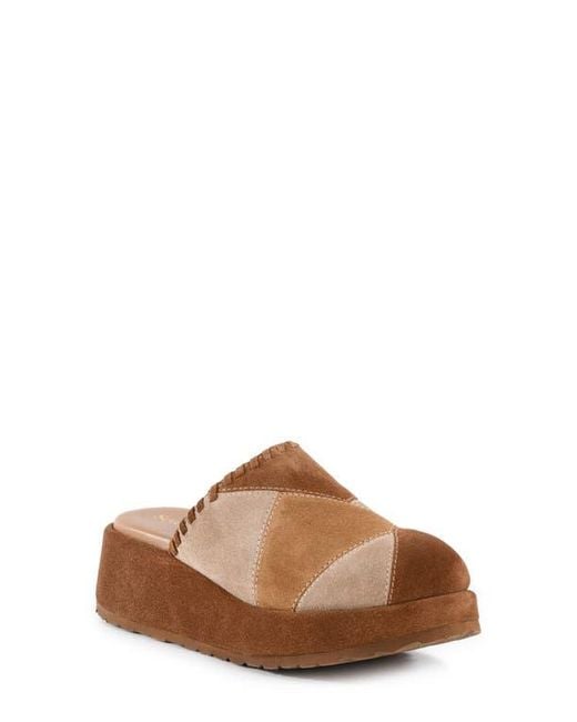 Seychelles Brown Whammy Platform Clog