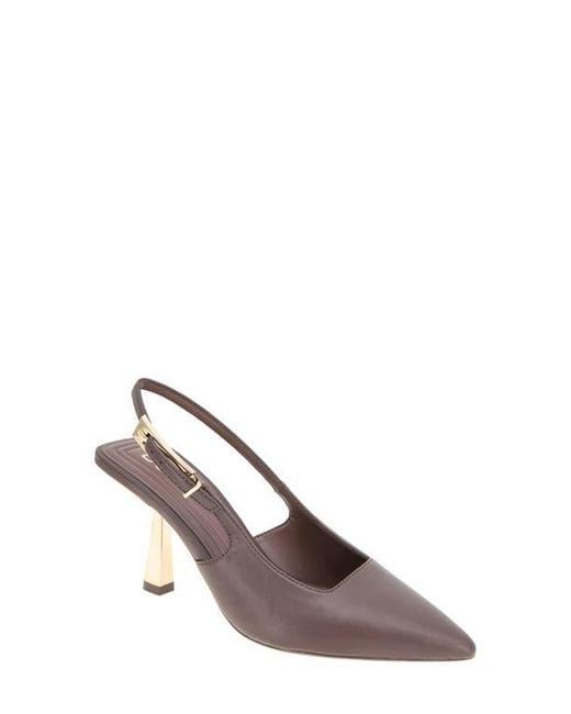 BCBGMAXAZRIA Brown Inara Slingback Pointed Toe Pump