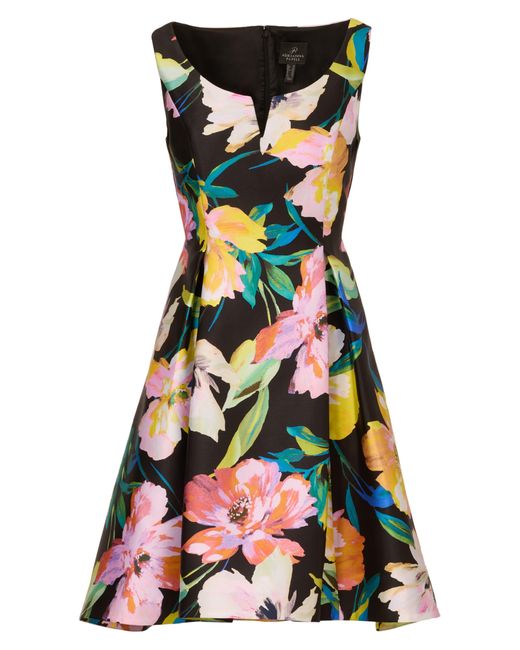 Adrianna Papell Orange Floral Mikado Fit & Flare Dress