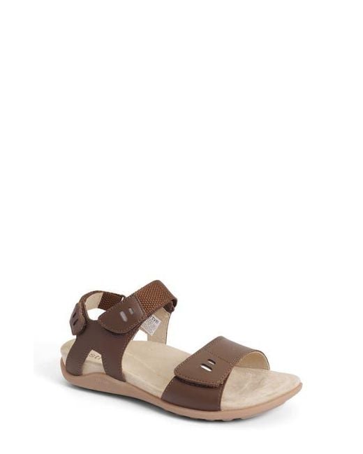 Strive Brown Float Ii Sandal