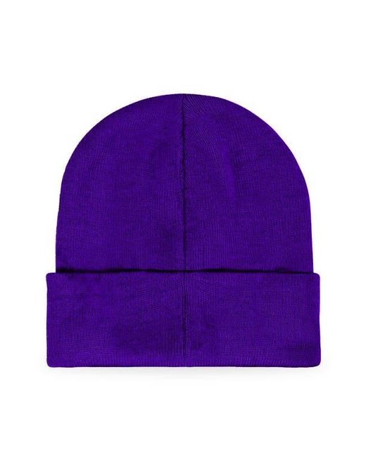 Alix Purple Chill Touch Beanie for men