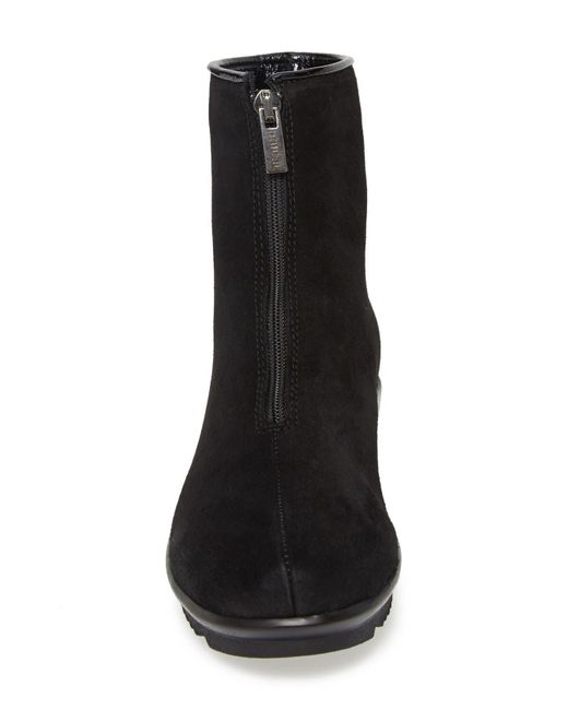 La clearance canadienne tiana