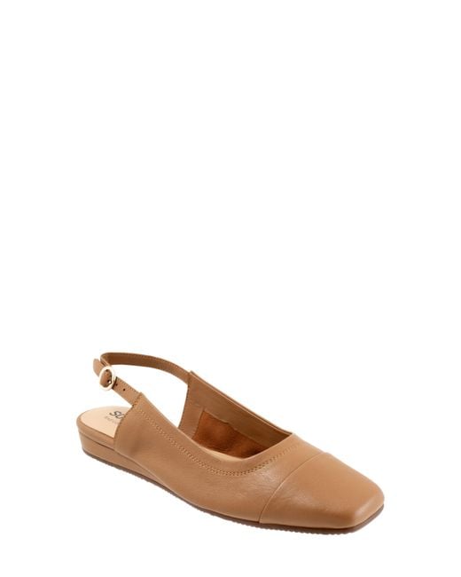 Softwalk® Brown Vittoria Slingback Flat