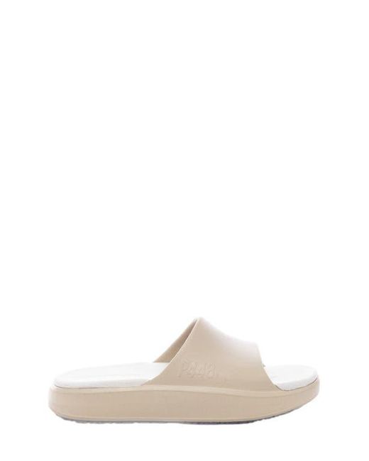 P448 Multicolor Riviera Slip-On