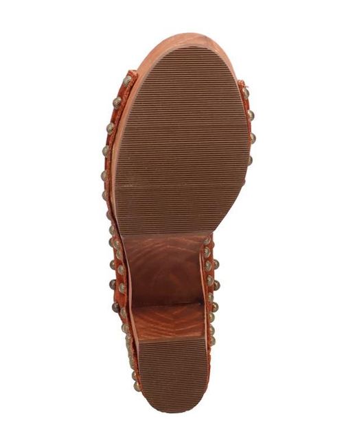 Dingo Brown Echo Clog