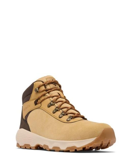 Columbia Natural Newton Wander Waterproof Hiking Boot for men