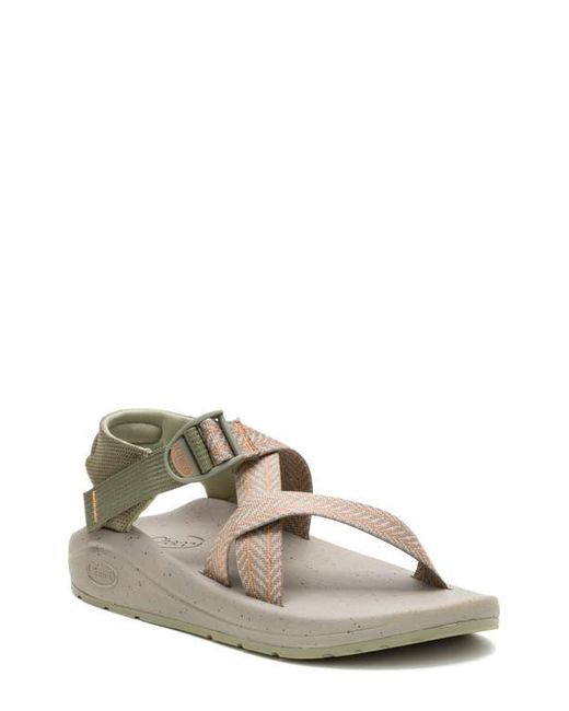Chaco Multicolor Cushz Sandal for men
