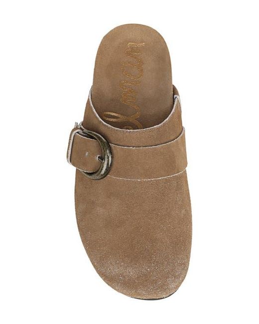 Sam Edelman Brown Alyce Mule