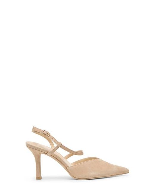 Dolce Vita Natural Kamra Pointy Toe Slingback Pump