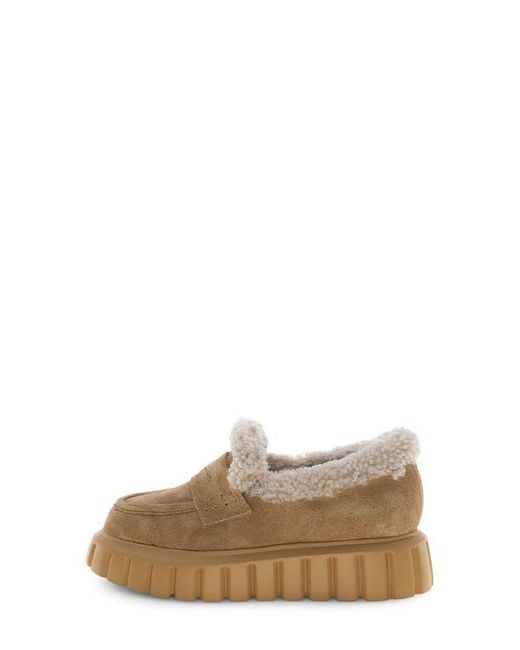 Voile Blanche Brown Grenelle Genuine Shearling Platform Loafer