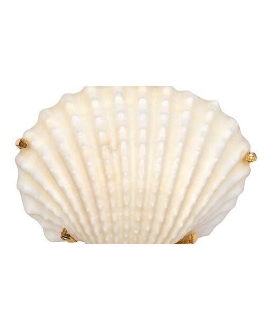 Jennifer Behr Natural Isola Shell & Faux Pearl Drop Earrings