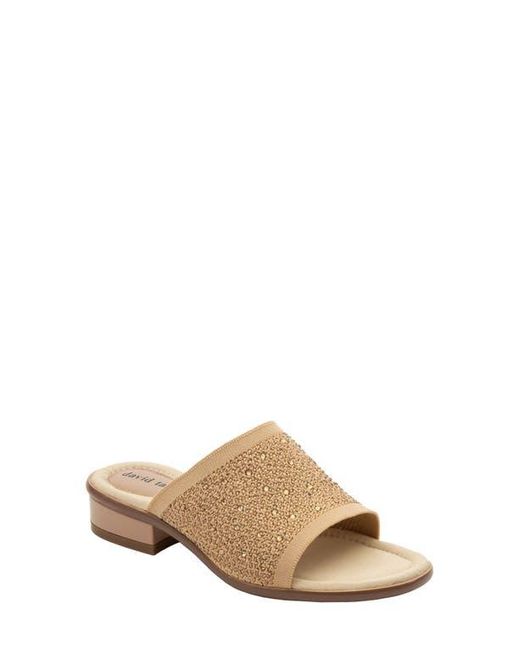 David Tate Multicolor Premium Slide Sandal