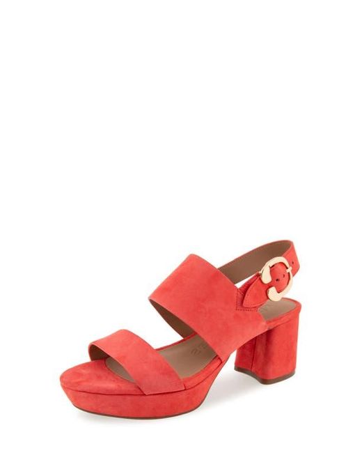 Aerosoles Red Camera Platform Sandal