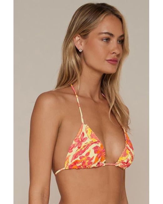 Swim Systems Brown Kali Triangle Bikini Swimsuit Top