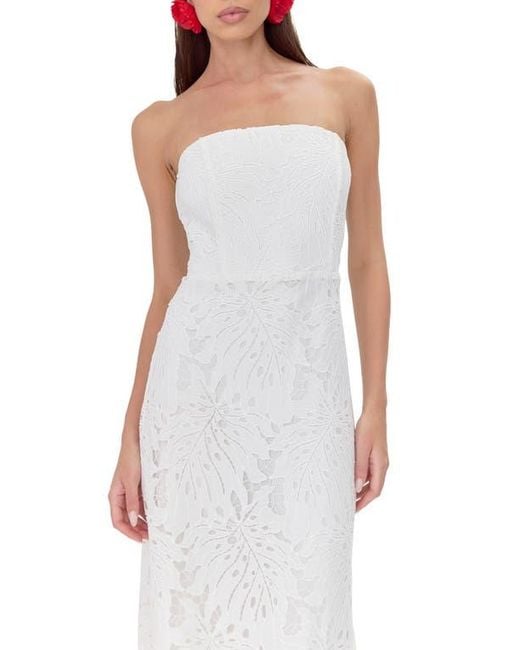 plus size lace sleeve wedding dress Plus Size Wedding Gown Plus Size Princess Gown Plus Size Bridal Fashion   Ashley Stewart