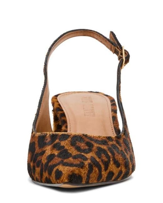 Steve Madden Brown Robyn Pointed Toe Slingback Pump