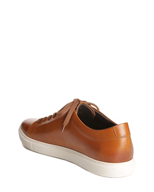 Allen Edmonds Canal Court Sneaker in Brown for Men | Lyst