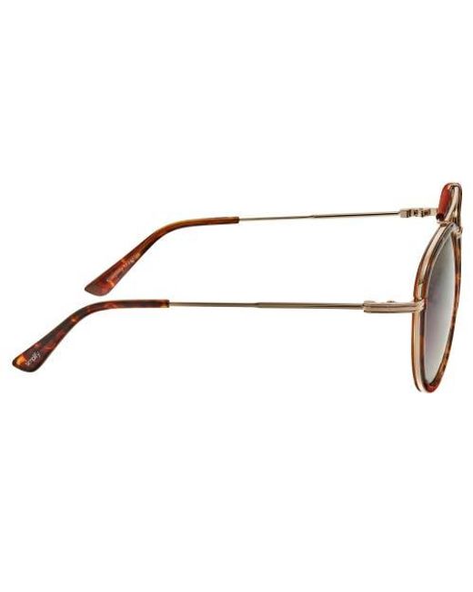 Simplify Brown Maestro Polarized Sunglasses