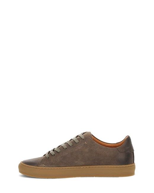 Frye Brown Astor Sneaker for men
