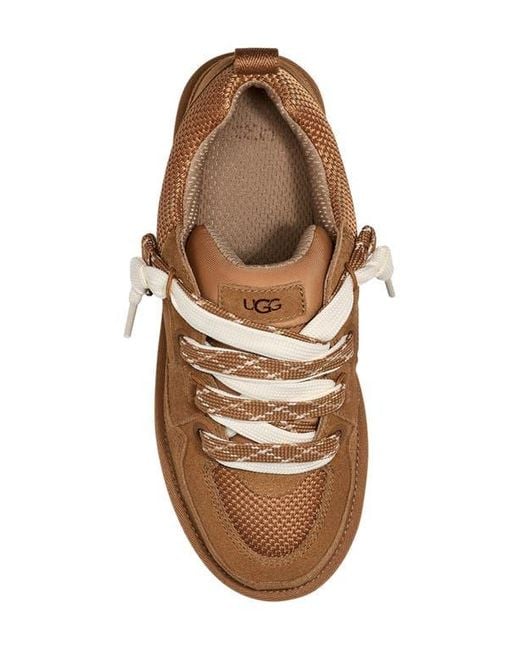Ugg Brown Lo Lowmel Sneaker