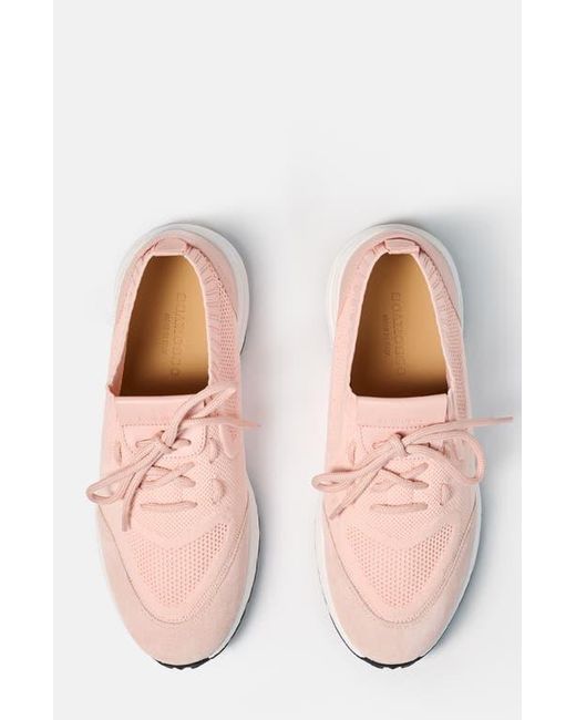 Scarosso Pink Robin Sneakers