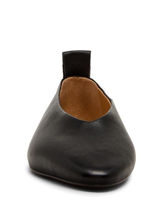 Steve Madden Black Swanky Pointed Toe Flat