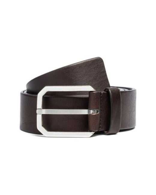 To Boot New York Brown Leather Belt for men