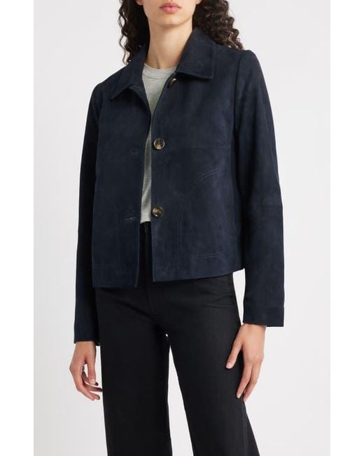 Bernardo Black Crop Suede Jacket