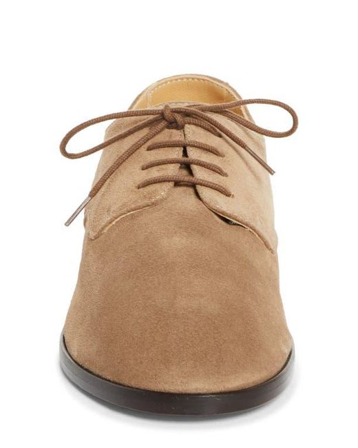 Common Projects Brown Soft Plain Toe Derby