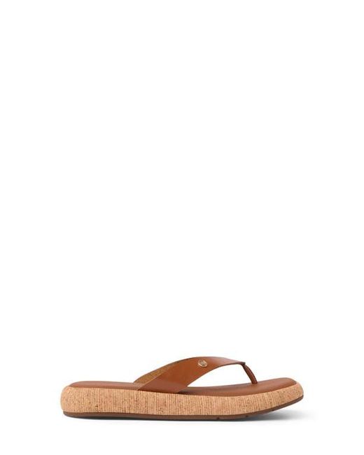 Reef Brown Sunset Low Maya Flip Flop