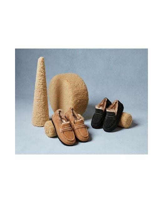 Ugg Brown Ellis Wool Loafer