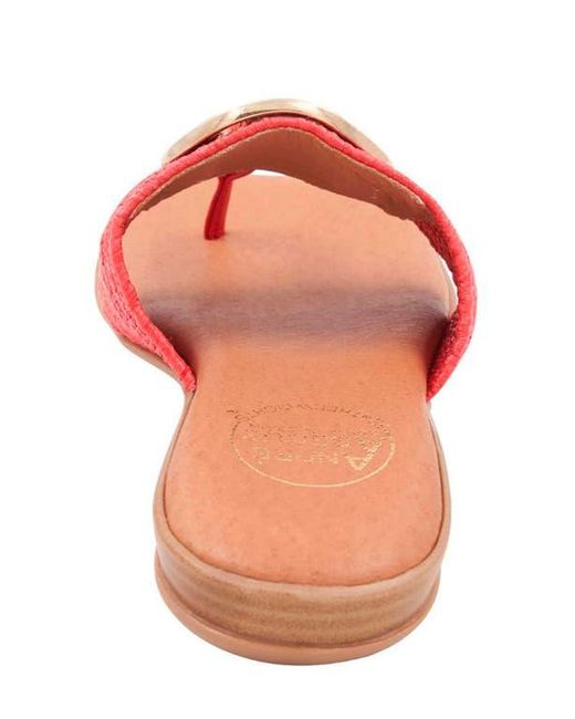 Andre Assous Pink Nixi Featherweights Flip Flop