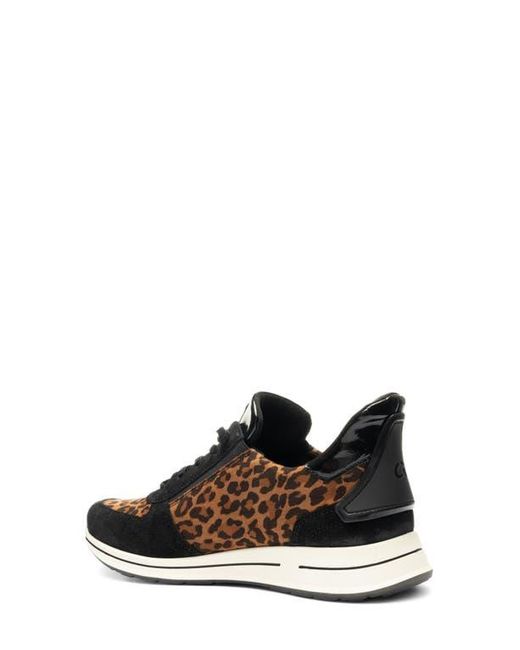 Ara Black Ovation Sneaker