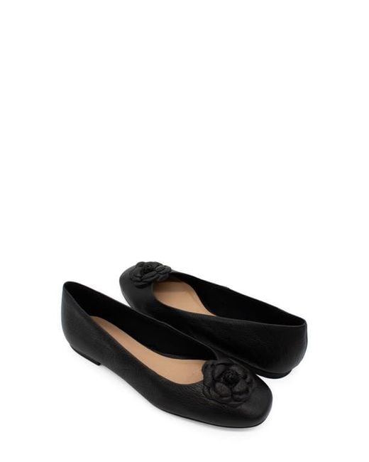 BOTTER Black Botsamya Ballet Flat